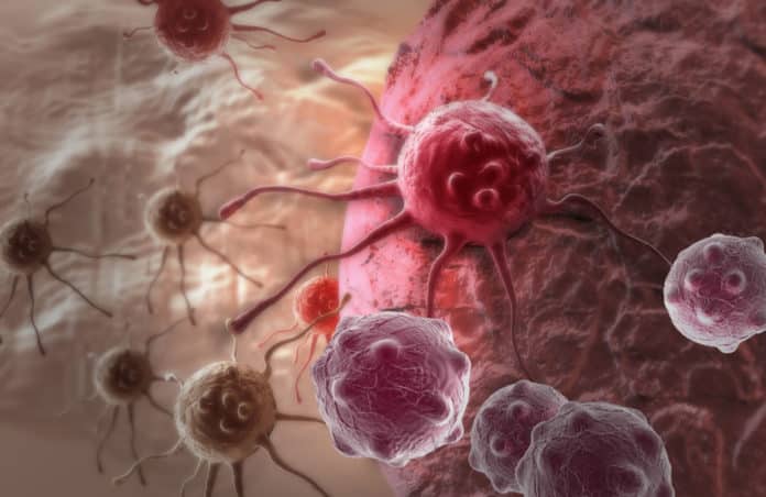 Why Some Cancer Cells Die With Treatment & Others Don't