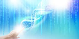 World's First Fully Automated DNA Data Storage System