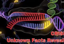 Unknown Facts About CRISPR cas9 Gene Editing Technique