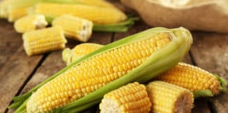 Pollen Carrying CRISPR - Tool For Production Of Better Crops