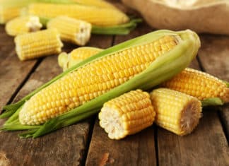Pollen Carrying CRISPR - Tool For Production Of Better Crops