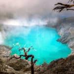 https://www.biotecnika.org/wp-content/uploads/2019/03/shutterstock_648113431.jpg
