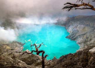 https://www.biotecnika.org/wp-content/uploads/2019/03/shutterstock_648113431.jpg