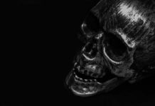 3D-printed Transparent Skull “See-Shell” To Advance Brain Research 3D-printed Transparent Skull "See-Shell" To Advance Brain Research