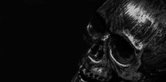 3D-printed Transparent Skull "See-Shell" To Advance Brain Research