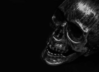 3D-printed Transparent Skull "See-Shell" To Advance Brain Research