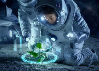 Astronauts May Soon Grow & Eat SPACE Tomatoes