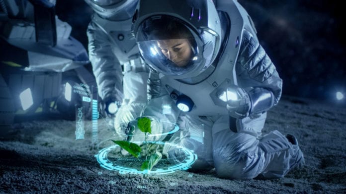Astronauts May Soon Grow & Eat SPACE Tomatoes
