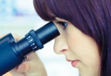 Cabinet Approves Extension of Biomedical Research Career Programme Cabinet Approves Extension of Biomedical Research Career Programme