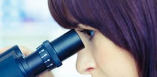 Cabinet Approves Extension of Biomedical Research Career Programme