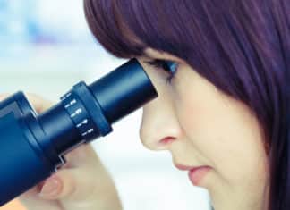 Cabinet Approves Extension of Biomedical Research Career Programme