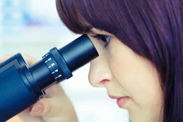 Cabinet Approves Extension of Biomedical Research Career Programme
