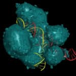 CRISPR Cas9 Delivery Into Cell Using Virus + Two Types of Light