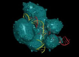 CRISPR Cas9 Delivery Into Cell Using Virus + Two Types of Light