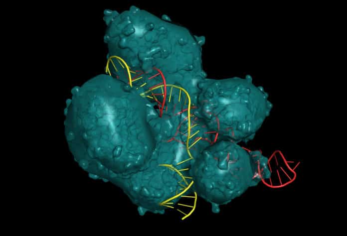 CRISPR Cas9 Delivery Into Cell Using Virus + Two Types of Light
