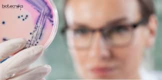 Career Scope of Microbiologist - Salary, Eligibility, Skills Required