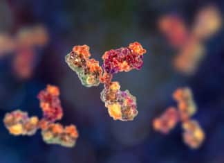 Edible Antibodies For Treating Gastrointestinal Disorders
