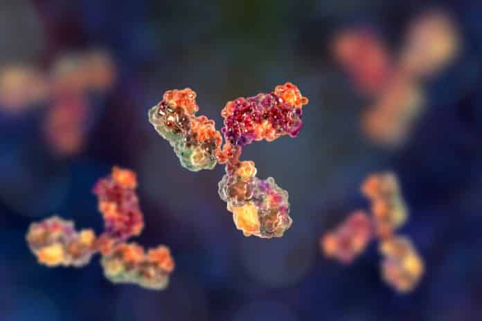 Edible Antibodies For Treating Gastrointestinal Disorders