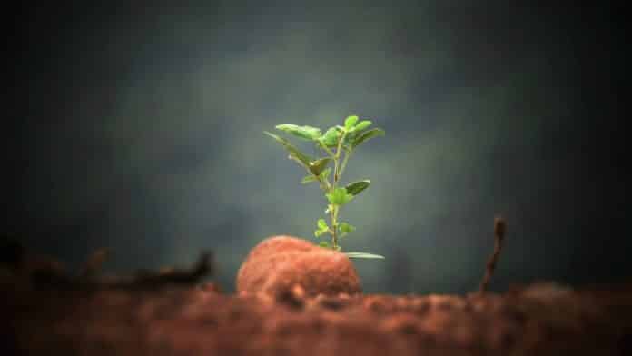 ICRISAT Latest Scientific Officer Jobs