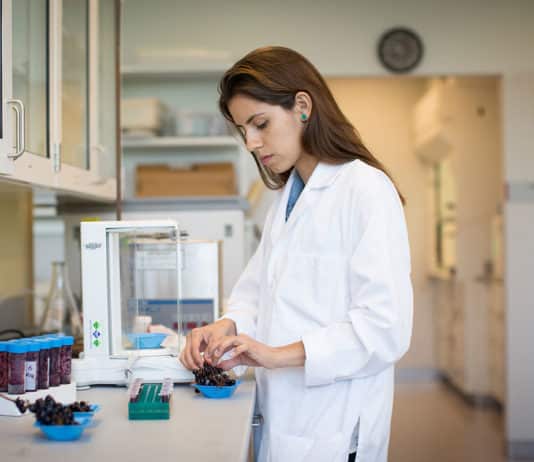 IIT Mandi Research Internship Summer Program 2019