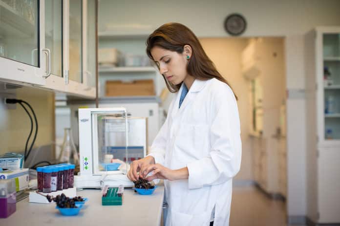 IIT Mandi Research Internship Summer Program 2019