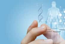 Mystery of How Genes Emerge Resolved By TU Delft Researchers Mystery of How Genes Emerge Resolved By TU Delft Researchers