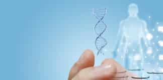 Mystery of How Genes Emerge Resolved By TU Delft Researchers
