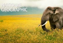 National Geographic Early Career Grant 2019 National Geographic Career Grant 2019