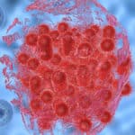 New Enzyme To Arrest Bacterial Growth Discovered By CCMB Scientists