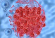 New Enzyme To Arrest Bacterial Growth Discovered By CCMB Scientists New Enzyme To Arrest Bacterial Growth Discovered By CCMB Scientists