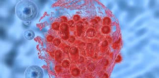 New Enzyme To Arrest Bacterial Growth Discovered By CCMB Scientists