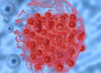 New Enzyme To Arrest Bacterial Growth Discovered By CCMB Scientists