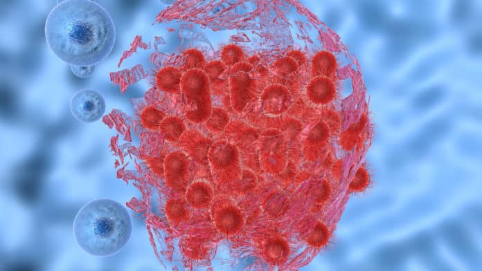 New Enzyme To Arrest Bacterial Growth Discovered By CCMB Scientists
