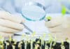 New Plant Breeding Technologies For Food Security & Development New Plant Breeding Technologies For Food Security & Development