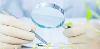 New Plant Breeding Technologies For Food Security & Development