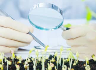 New Plant Breeding Technologies For Food Security & Development