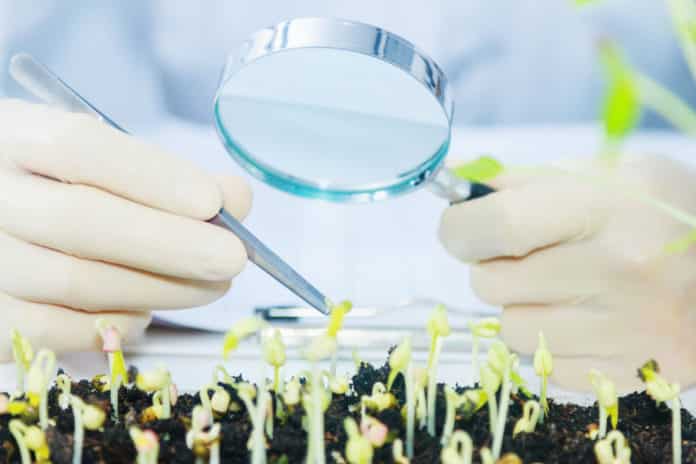 New Plant Breeding Technologies For Food Security & Development