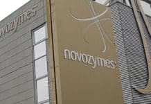 Novozymes Job For Masters in Food Tech / Biochem / Biotech Novozymes Job For Masters in Food Tech / Biochem / Biotech