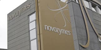 Novozymes Job For Masters in Food Tech / Biochem / Biotech