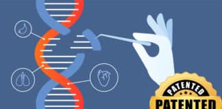 Third European CRISPR Patent Granted To UC, UV, Charpentier