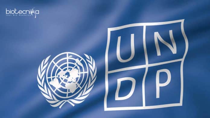 International UNDP-Delhi Project Officer Job With Rs 14 Lakhs Salary