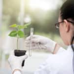 University of Delhi Research Associate Plant Molecular Biology Job University of Delhi Research Associate Plant Molecular Biology Job