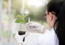 University of Delhi Research Associate Plant Molecular Biology Job