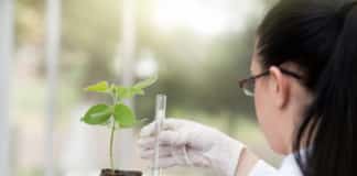 University of Delhi Research Associate Plant Molecular Biology Job