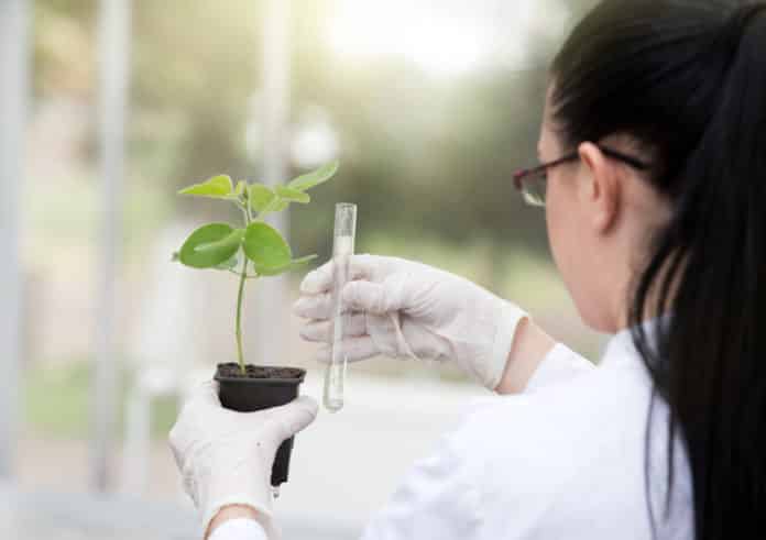 University of Delhi Research Associate Plant Molecular Biology Job