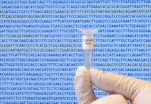 World’s First Computer-Generated Bacterial Genome World's First Computer-Generated Bacterial Genome