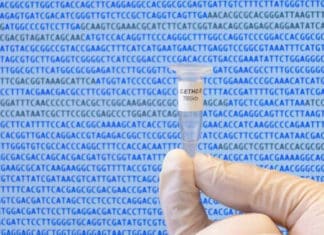 World's First Computer-Generated Bacterial Genome