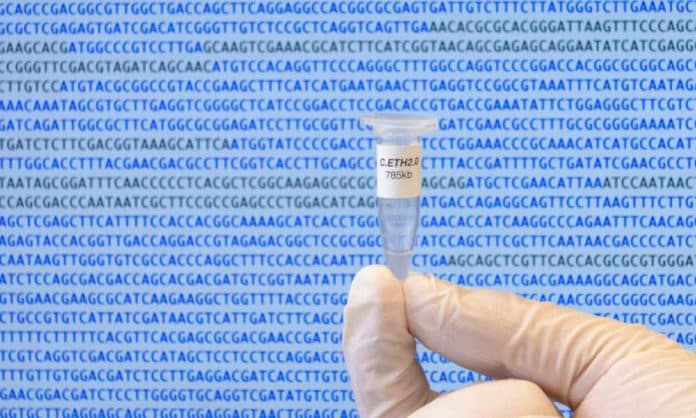 World's First Computer-Generated Bacterial Genome