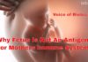 Why Fetus Is Not An Antigen For Mothers Immune System