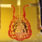 First Of Its Kind: 3D Bio-printed Organ Breathes Fresh Air